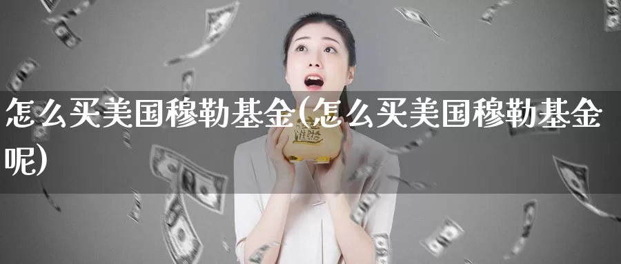 怎么买美国穆勒基金(怎么买美国穆勒基金呢)_https://www.zzcnk.com_基金_第1张