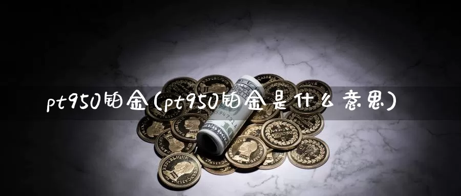 pt950铂金(pt950铂金是什么意思)_https://www.zzcnk.com_股指期货_第1张