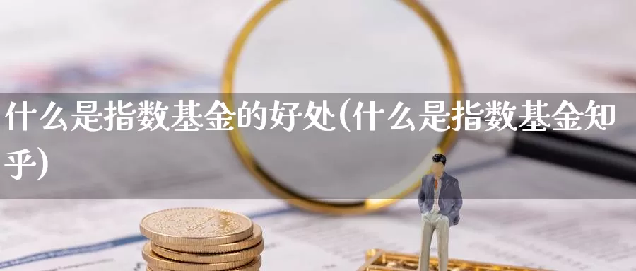 什么是指数基金的好处(什么是指数基金知乎)_https://www.zzcnk.com_基金_第1张