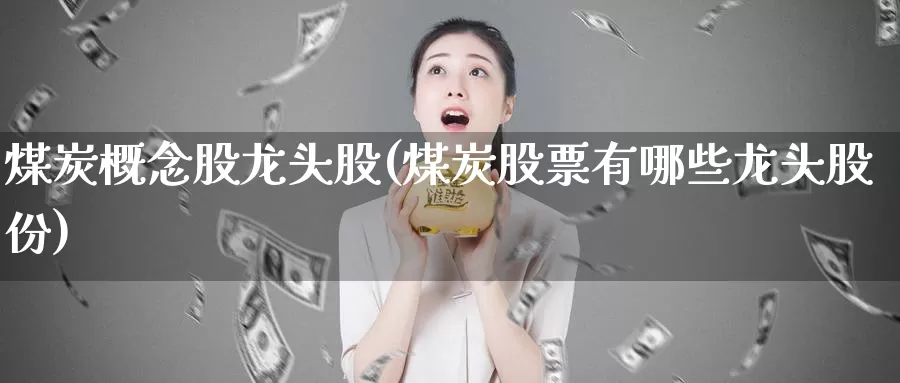 煤炭概念股龙头股(煤炭股票有哪些龙头股份)_https://www.zzcnk.com_恒生指数_第1张