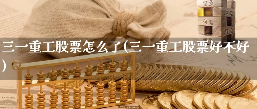 三一重工股票怎么了(三一重工股票好不好)_https://www.zzcnk.com_内盘期货_第1张