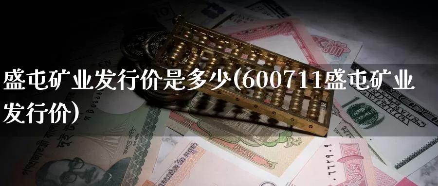 盛屯矿业发行价是多少(600711盛屯矿业发行价)_https://www.zzcnk.com_内盘期货_第1张