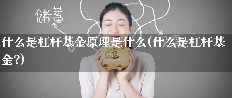什么是杠杆基金原理是什么(什么是杠杆基金?)_https://www.zzcnk.com_基金_第1张
