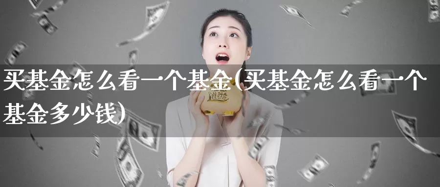 买基金怎么看一个基金(买基金怎么看一个基金多少钱)_https://www.zzcnk.com_基金_第1张
