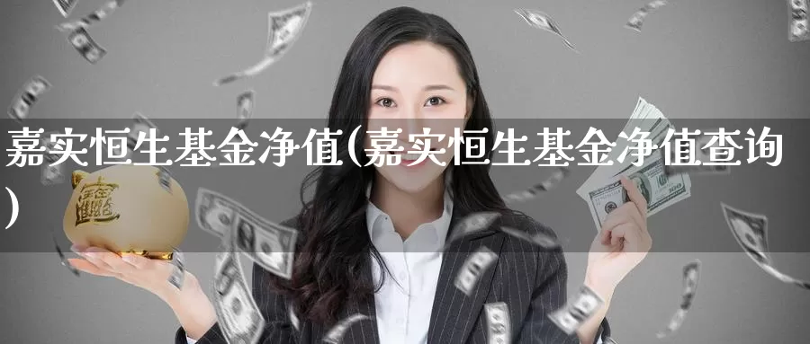 嘉实恒生基金净值(嘉实恒生基金净值查询)_https://www.zzcnk.com_股票_第1张