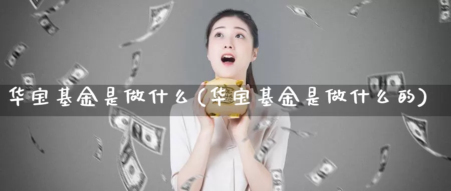华宝基金是做什么(华宝基金是做什么的)_https://www.zzcnk.com_基金_第1张