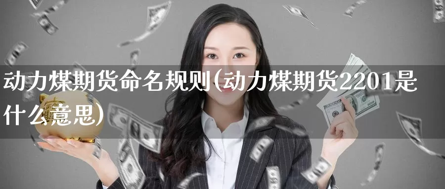 动力煤期货命名规则(动力煤期货2201是什么意思)_https://www.zzcnk.com_股指期货_第1张
