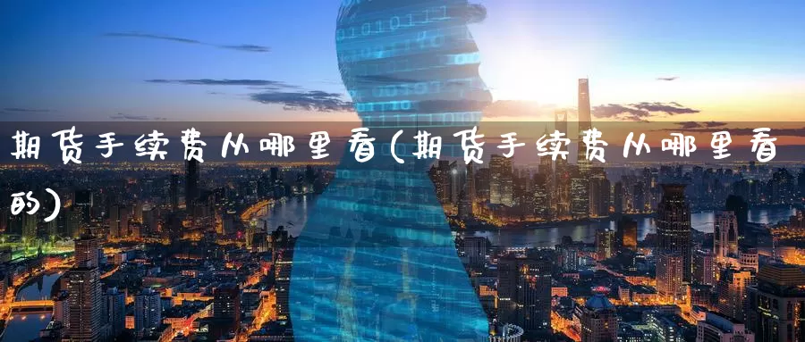 期货手续费从哪里看(期货手续费从哪里看的)_https://www.zzcnk.com_纳指期货_第1张
