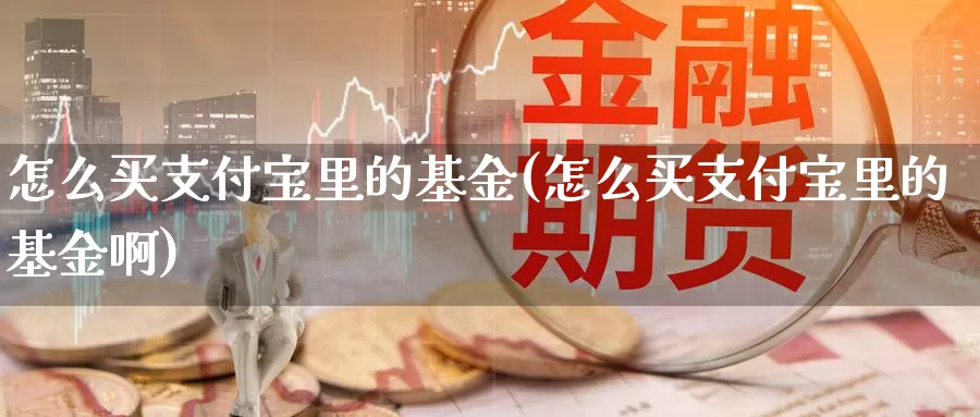 怎么买支付宝里的基金(怎么买支付宝里的基金啊)_https://www.zzcnk.com_基金_第1张