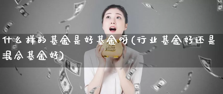 什么样的基金是好基金呀(行业基金好还是混合基金好)_https://www.zzcnk.com_基金_第1张