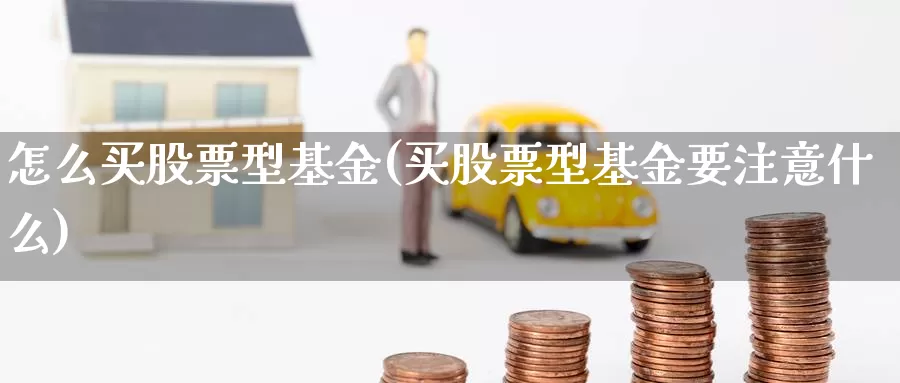 怎么买股票型基金(买股票型基金要注意什么)_https://www.zzcnk.com_基金_第1张