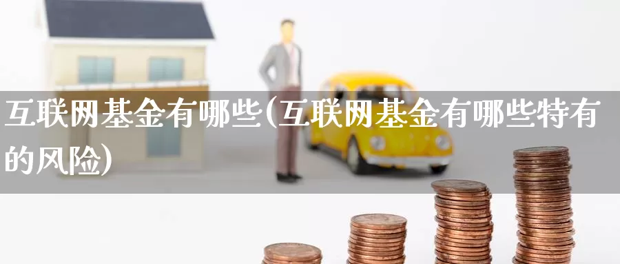 互联网基金有哪些(互联网基金有哪些特有的风险)_https://www.zzcnk.com_期货_第1张