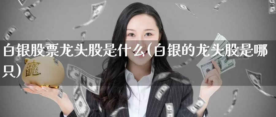 白银股票龙头股是什么(白银的龙头股是哪只)_https://www.zzcnk.com_纳指期货_第1张