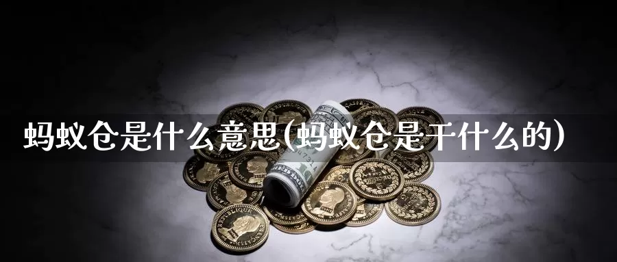 蚂蚁仓是什么意思(蚂蚁仓是干什么的)_https://www.zzcnk.com_期货直播_第1张