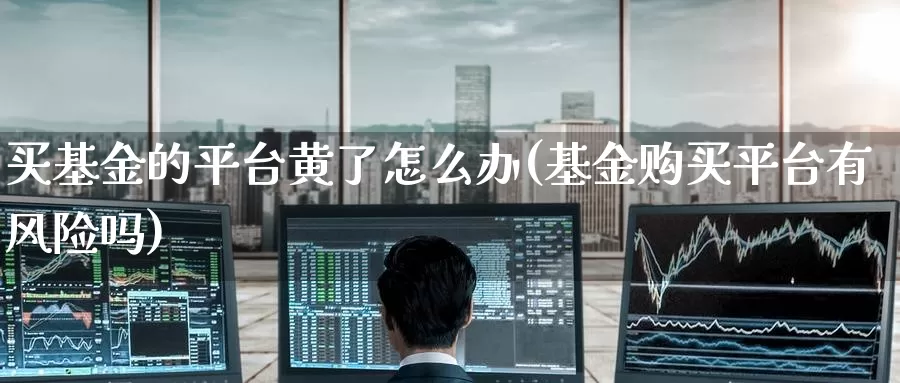 买基金的平台黄了怎么办(基金购买平台有风险吗)_https://www.zzcnk.com_基金_第1张