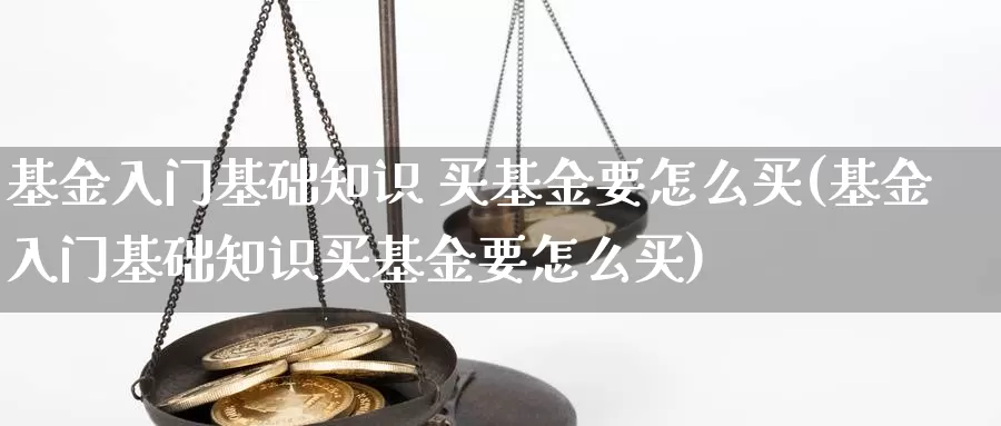 基金入门基础知识 买基金要怎么买(基金入门基础知识买基金要怎么买)_https://www.zzcnk.com_基金_第1张