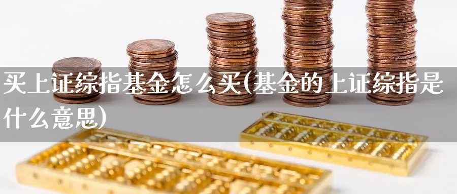 买上证综指基金怎么买(基金的上证综指是什么意思)_https://www.zzcnk.com_基金_第1张