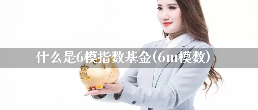 什么是6模指数基金(6m模数)_https://www.zzcnk.com_基金_第1张