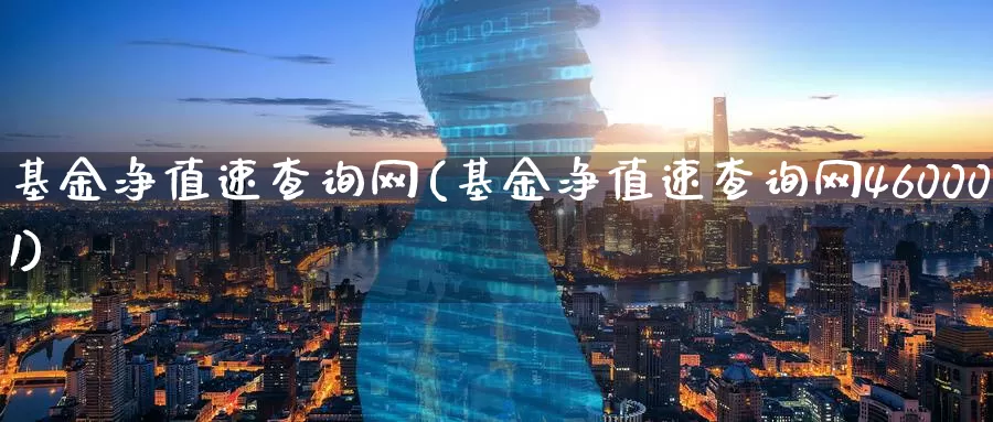 基金净值速查询网(基金净值速查询网460001)_https://www.zzcnk.com_理财_第1张