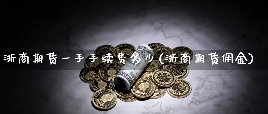 浙商期货一手手续费多少(浙商期货佣金)_https://www.zzcnk.com_期货百科_第1张