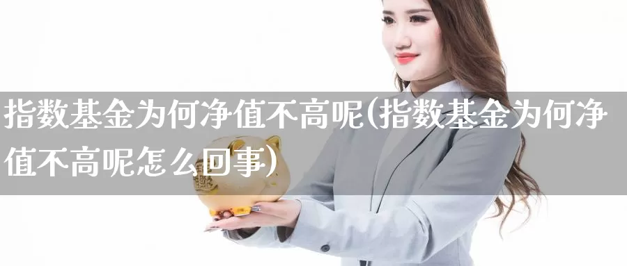 指数基金为何净值不高呢(指数基金为何净值不高呢怎么回事)_https://www.zzcnk.com_理财_第1张