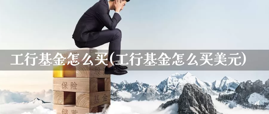 工行基金怎么买(工行基金怎么买美元)_https://www.zzcnk.com_基金_第1张
