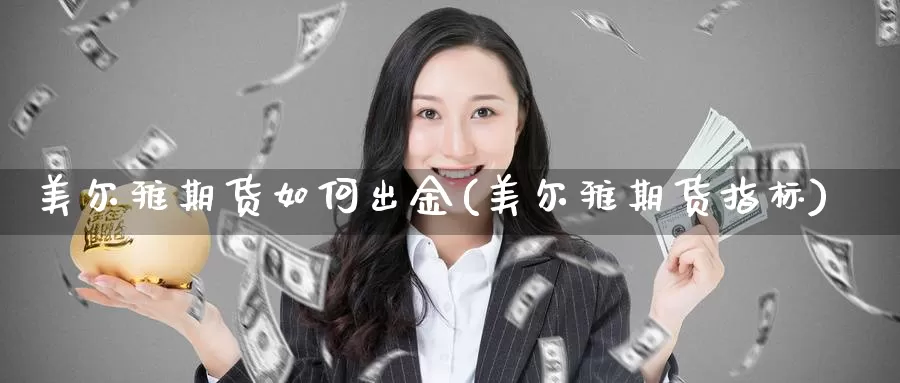 美尔雅期货如何出金(美尔雅期货指标)_https://www.zzcnk.com_股指期货_第1张