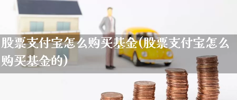 股票支付宝怎么购买基金(股票支付宝怎么购买基金的)_https://www.zzcnk.com_股票_第1张