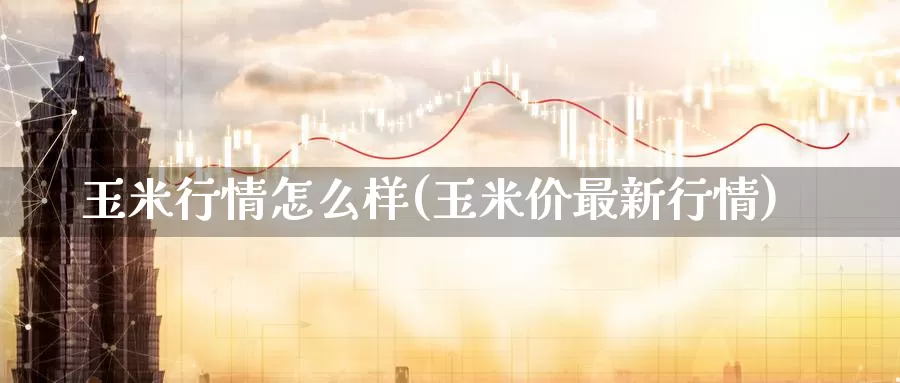 玉米行情怎么样(玉米价最新行情)_https://www.zzcnk.com_恒生指数_第1张
