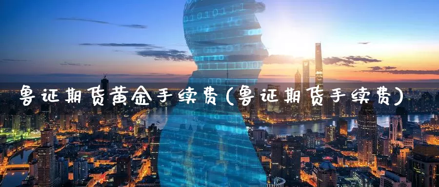 鲁证期货黄金手续费(鲁证期货手续费)_https://www.zzcnk.com_财经_第1张