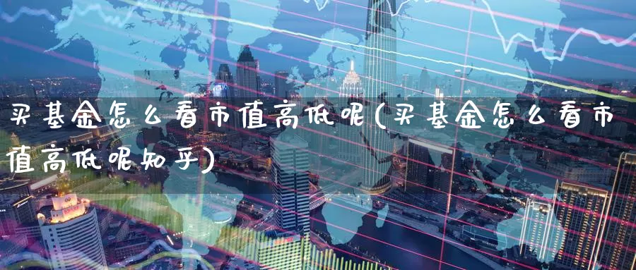 买基金怎么看市值高低呢(买基金怎么看市值高低呢知乎)_https://www.zzcnk.com_基金_第1张