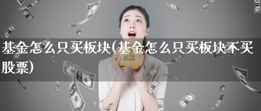 基金怎么只买板块(基金怎么只买板块不买股票)_https://www.zzcnk.com_基金_第1张