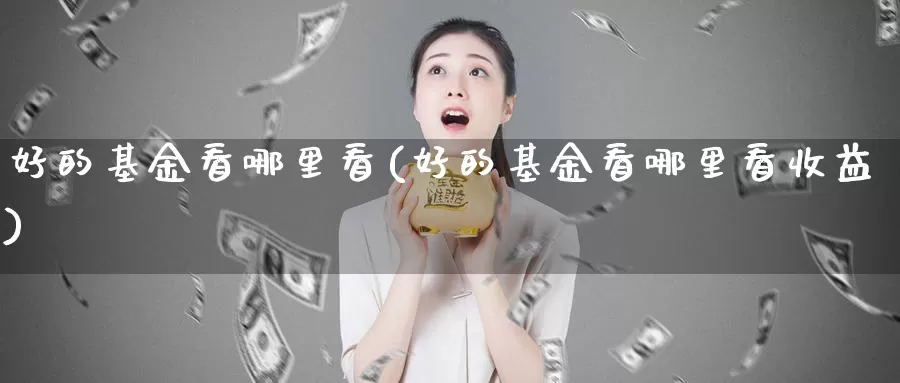 好的基金看哪里看(好的基金看哪里看收益)_https://www.zzcnk.com_期货_第1张