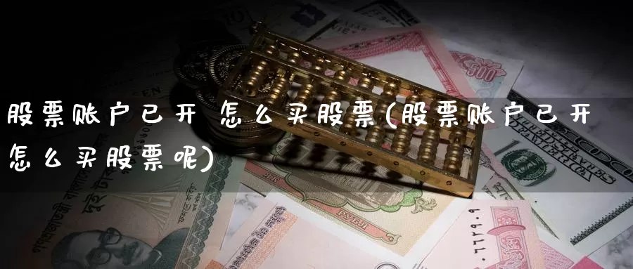 股票账户已开 怎么买股票(股票账户已开怎么买股票呢)_https://www.zzcnk.com_财经_第1张