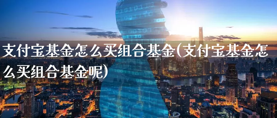 支付宝基金怎么买组合基金(支付宝基金怎么买组合基金呢)_https://www.zzcnk.com_基金_第1张
