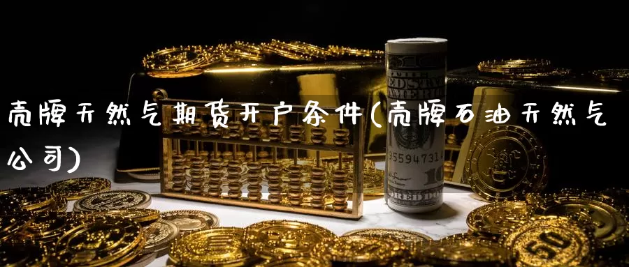壳牌天然气期货开户条件(壳牌石油天然气公司)_https://www.zzcnk.com_币圈资讯_第1张