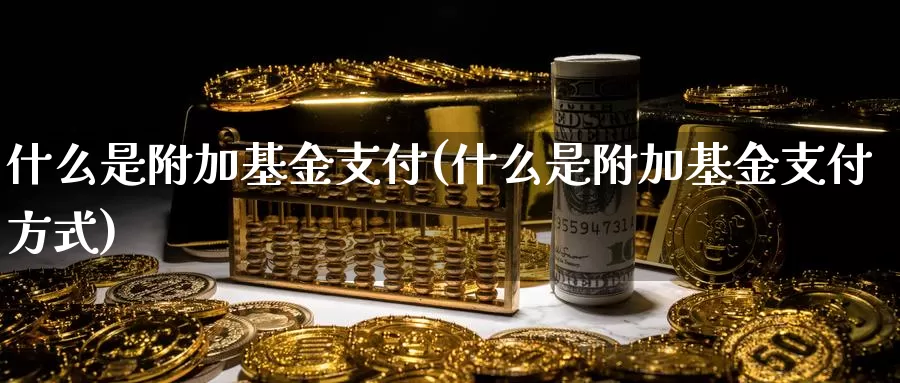 什么是附加基金支付(什么是附加基金支付方式)_https://www.zzcnk.com_基金_第1张