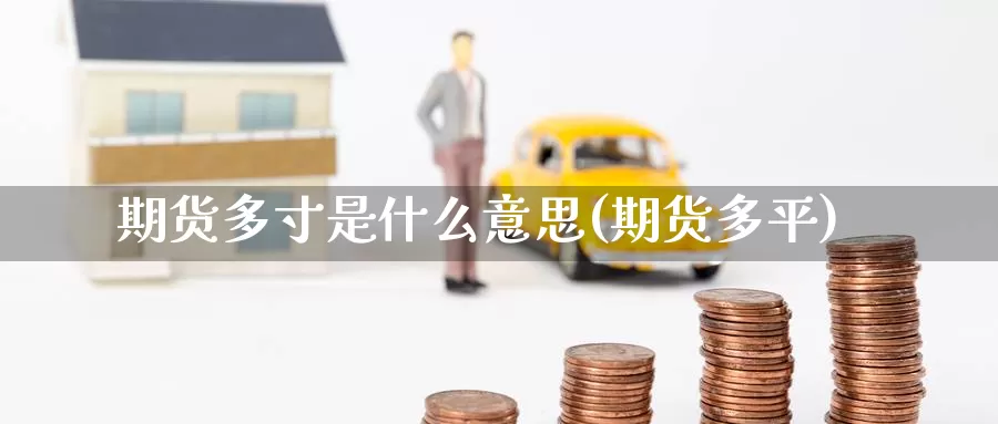 期货多寸是什么意思(期货多平)_https://www.zzcnk.com_纳指期货_第1张