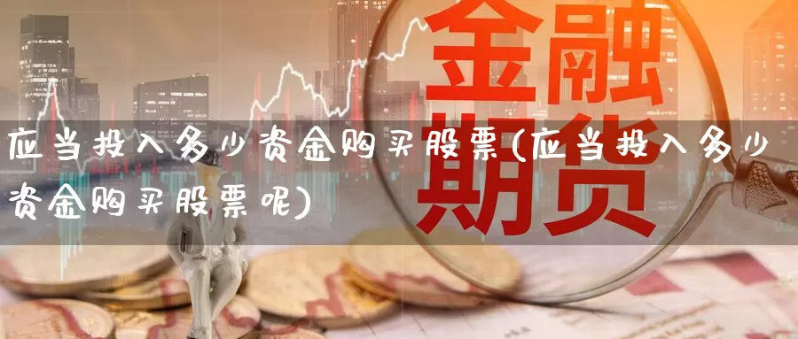 应当投入多少资金购买股票(应当投入多少资金购买股票呢)_https://www.zzcnk.com_股票_第1张