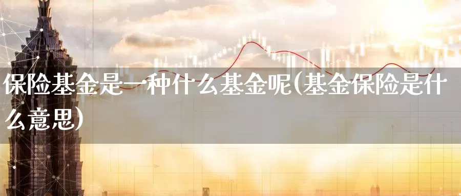 保险基金是一种什么基金呢(基金保险是什么意思)_https://www.zzcnk.com_基金_第1张