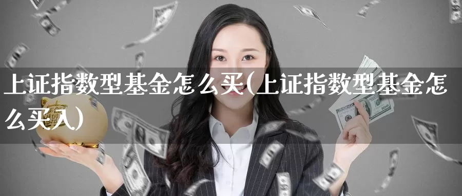 上证指数型基金怎么买(上证指数型基金怎么买入)_https://www.zzcnk.com_基金_第1张