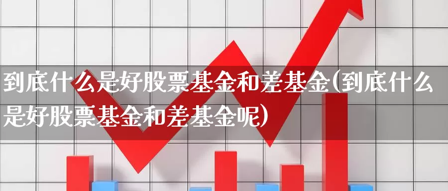 到底什么是好股票基金和差基金(到底什么是好股票基金和差基金呢)_https://www.zzcnk.com_基金_第1张