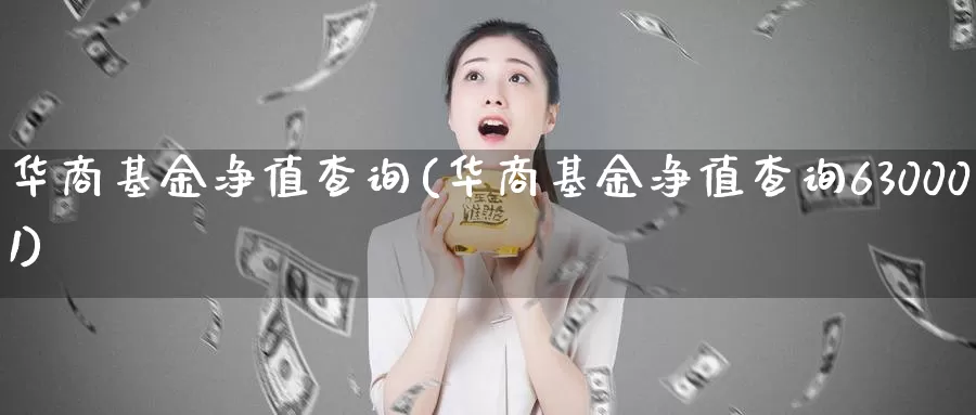 华商基金净值查询(华商基金净值查询630001)_https://www.zzcnk.com_期货_第1张
