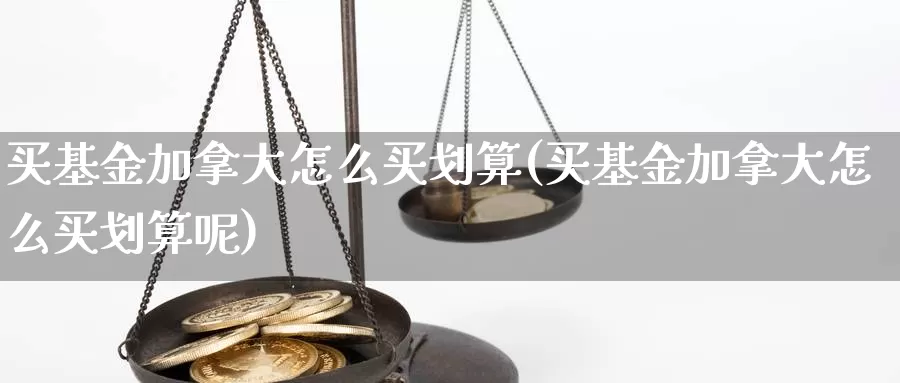 买基金加拿大怎么买划算(买基金加拿大怎么买划算呢)_https://www.zzcnk.com_基金_第1张