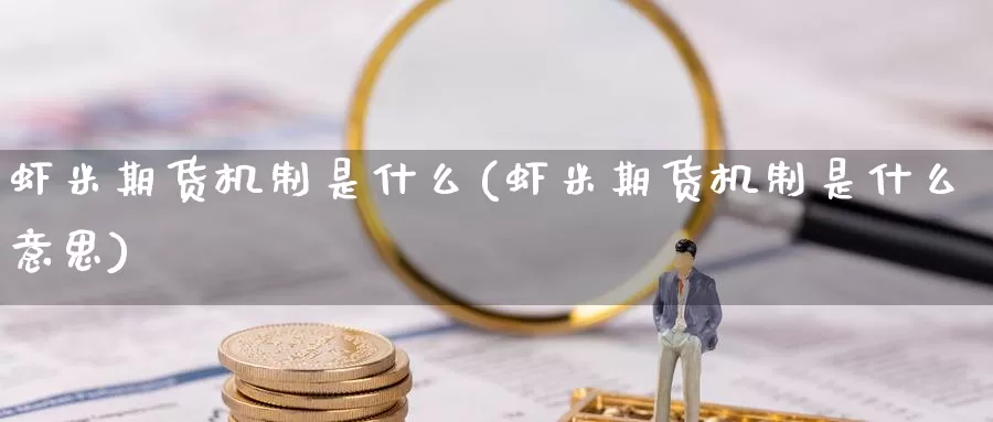 虾米期货机制是什么(虾米期货机制是什么意思)_https://www.zzcnk.com_期货_第1张