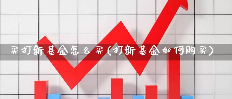 买打新基金怎么买(打新基金如何购买)_https://www.zzcnk.com_基金_第1张