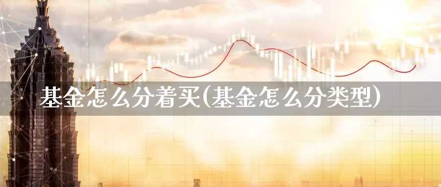 基金怎么分着买(基金怎么分类型)_https://www.zzcnk.com_基金_第1张