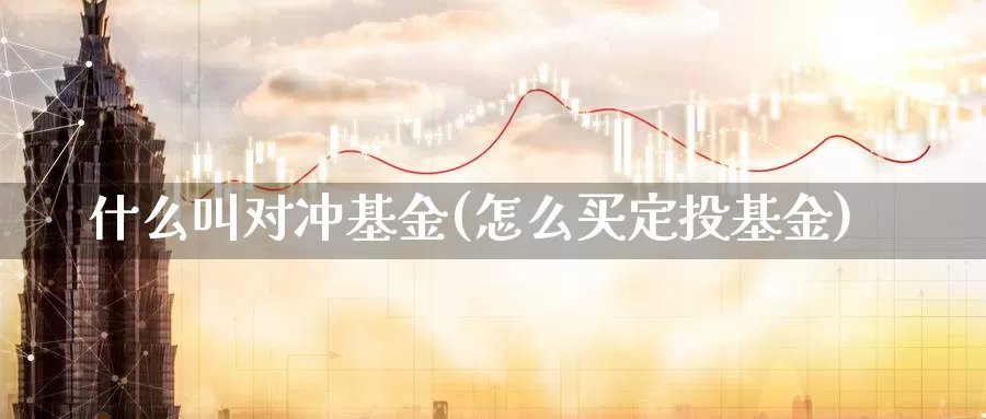 什么叫对冲基金(怎么买定投基金)_https://www.zzcnk.com_股指期货_第1张