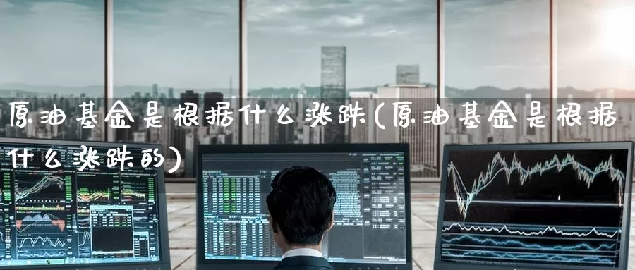 原油基金是根据什么涨跌(原油基金是根据什么涨跌的)_https://www.zzcnk.com_基金_第1张