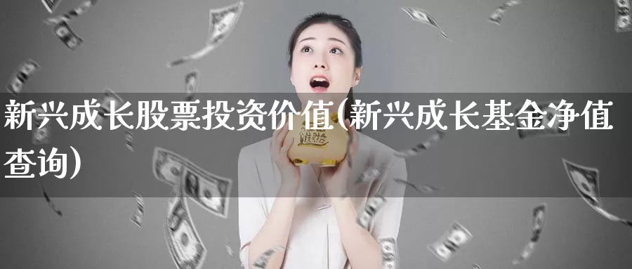 新兴成长股票投资价值(新兴成长基金净值查询)_https://www.zzcnk.com_理财_第1张